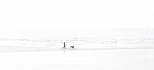 אשה בים תמונות לחדר שינה אשה בים תמונות לחדר שינה