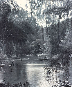 שקט באגם שקט באגם